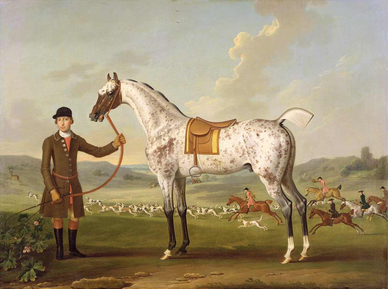 स्किपियो, कर्नल रोश के स्पॉटेड हंटर, c.1750 द्वारा थॉमस स्पेंसर