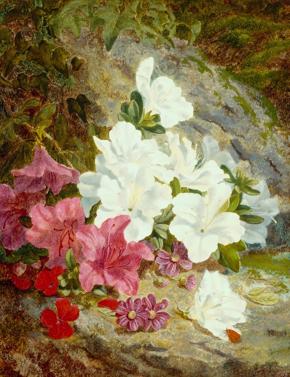 Azaleas (कैनवास पर तेल) द्वारा थॉमस वर्से