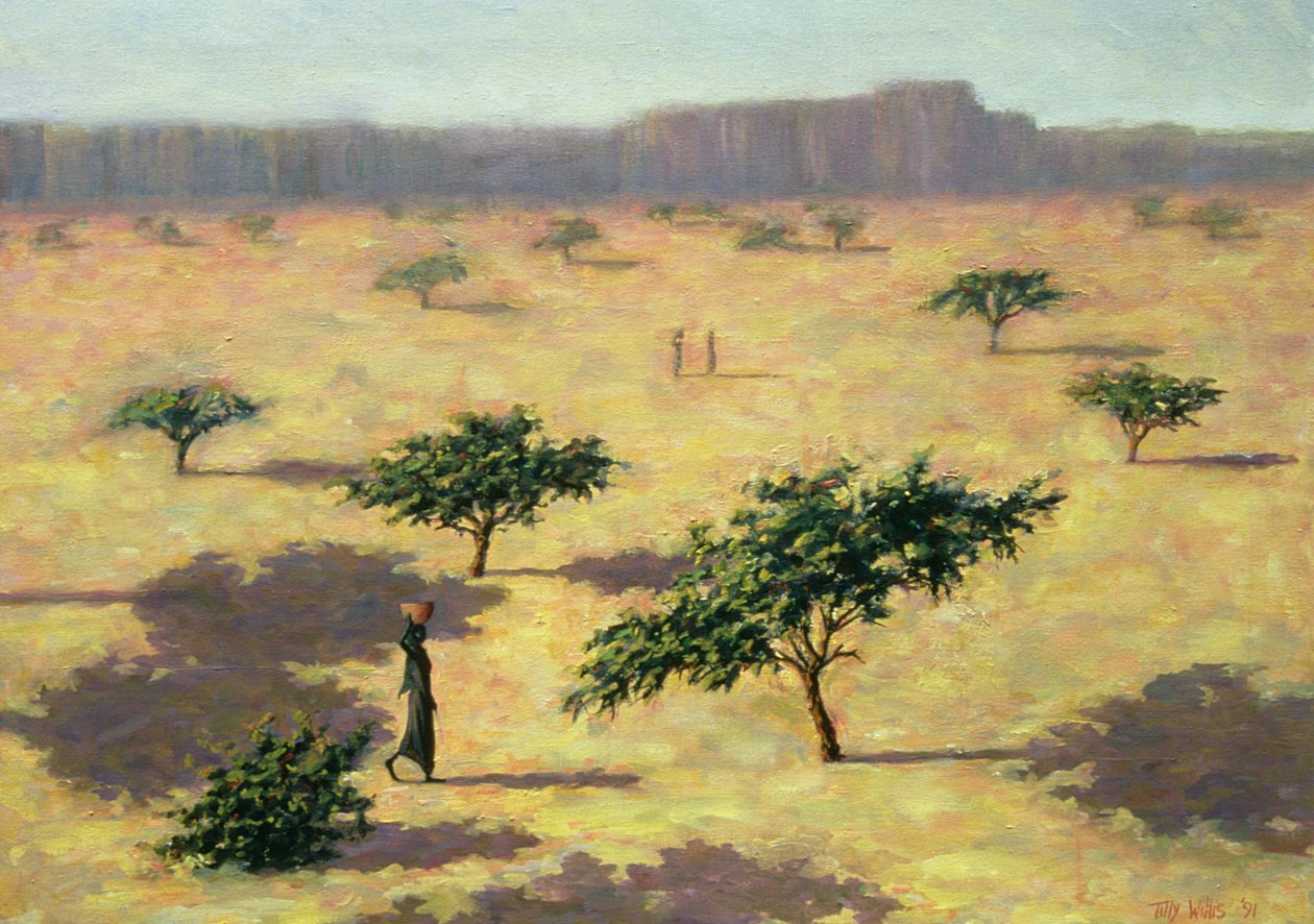सहेलियन लैंडस्केप, माली, 1991 द्वारा टिली विलिस