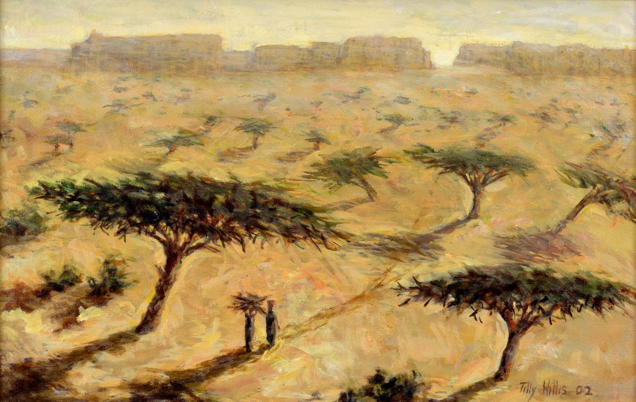 सहेलियन लैंडस्केप, 2002 द्वारा टिली विलिस