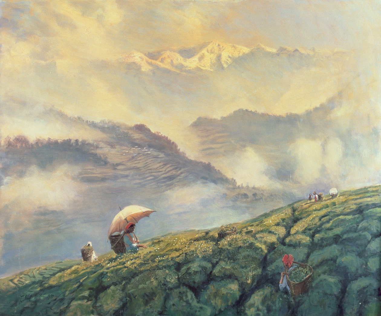 टी पिकिंग, दार्जिलिंग, भारत, 1999 द्वारा टिम स्कॉट बोल्टन