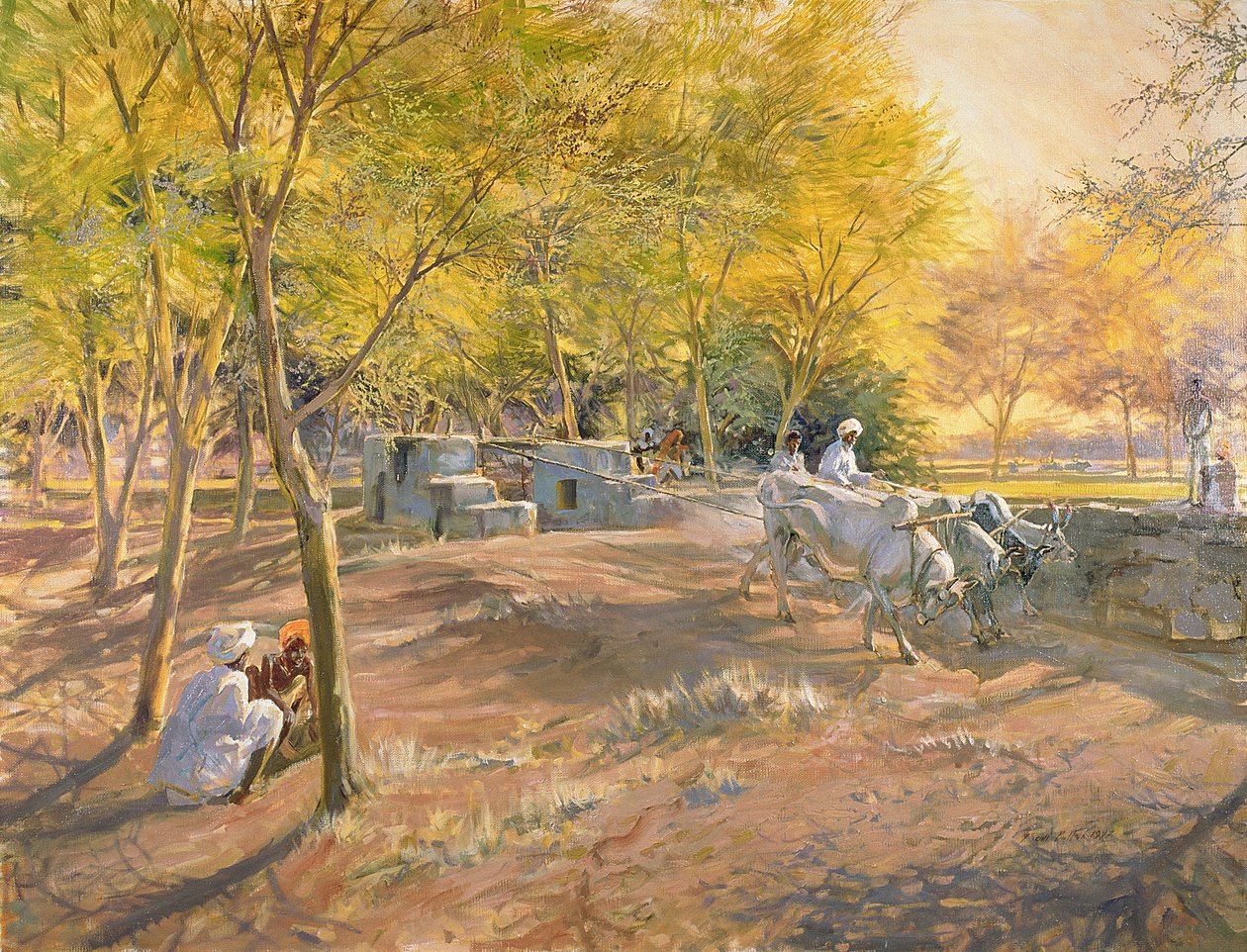 जल, राजस्थान, 1997 के लिए काम करना द्वारा टिम स्कॉट बोल्टन