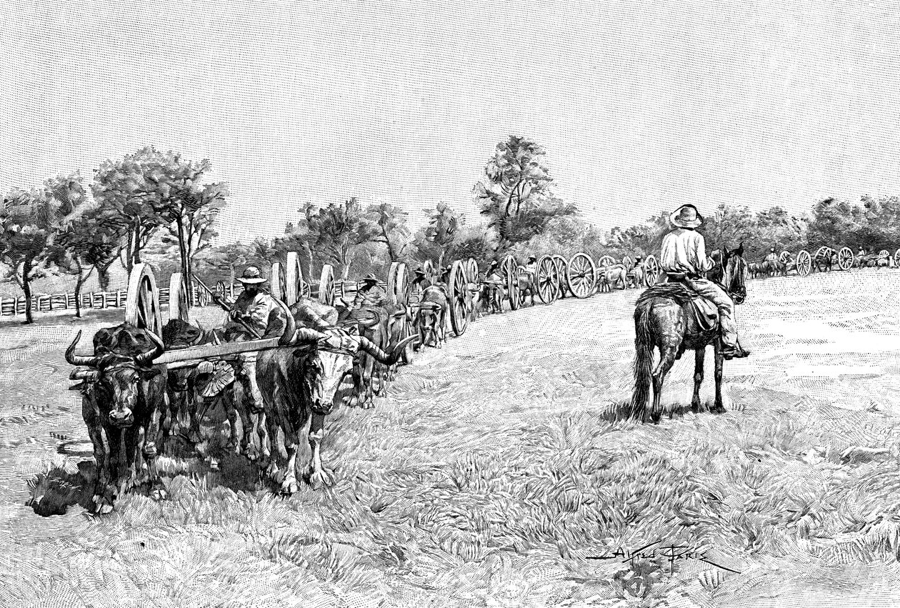वैगनों का एक काफिला, दक्षिण अमेरिका, 1895 द्वारा अज्ञात