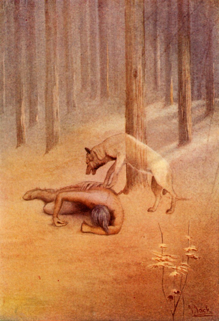 'एडवेंचर विद ए टोटेम', 1914। द्वारा अज्ञात