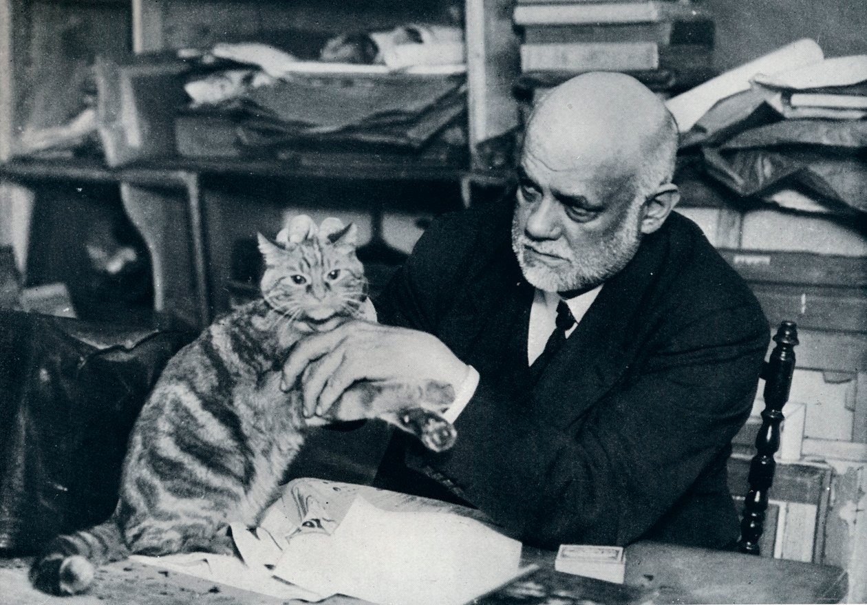 एम्ब्रोइज़ वोलार्ड, फ्रांसीसी कला डीलर, 1934 द्वारा अज्ञात
