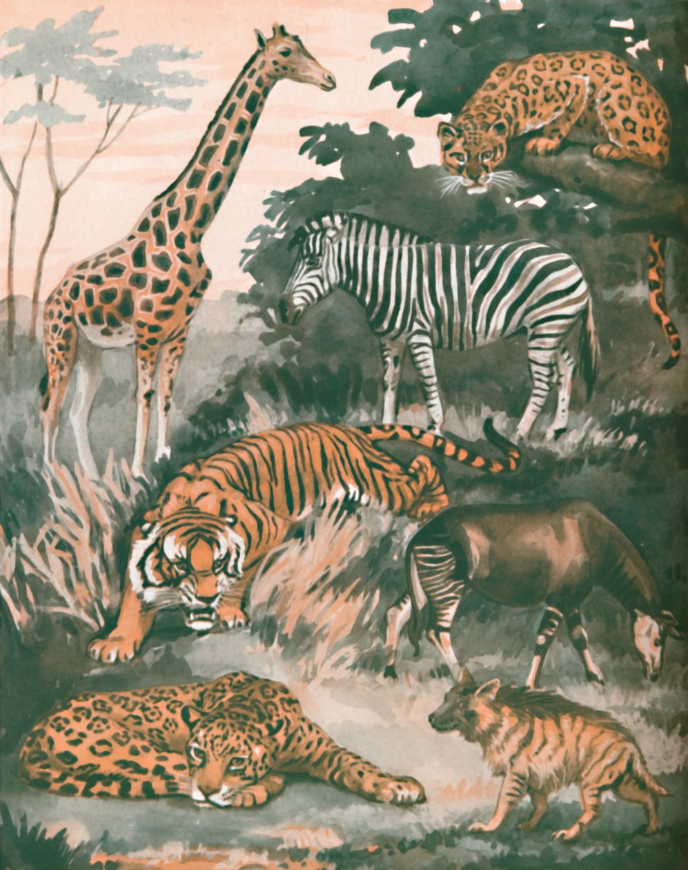 स्पॉट्स एंड स्ट्राइप्स, 1935 द्वारा जानवरों की मदद की गई द्वारा अज्ञात