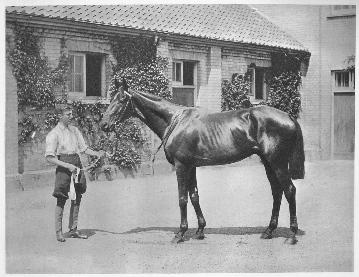 ऑस्ट्रेलियाई स्टार, 1911 द्वारा अज्ञात