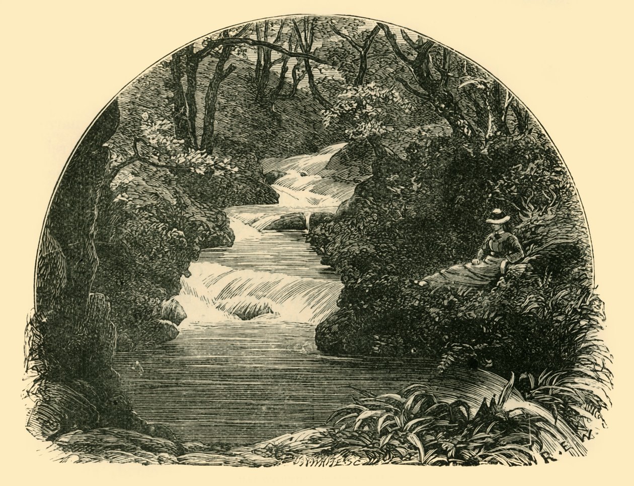 बागवर्थी वाटरस्लाइड, 1898। द्वारा अज्ञात