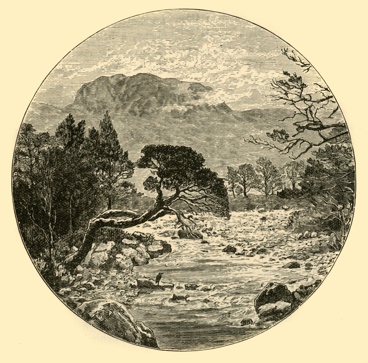 बेन स्लियोच, 1898। द्वारा अज्ञात