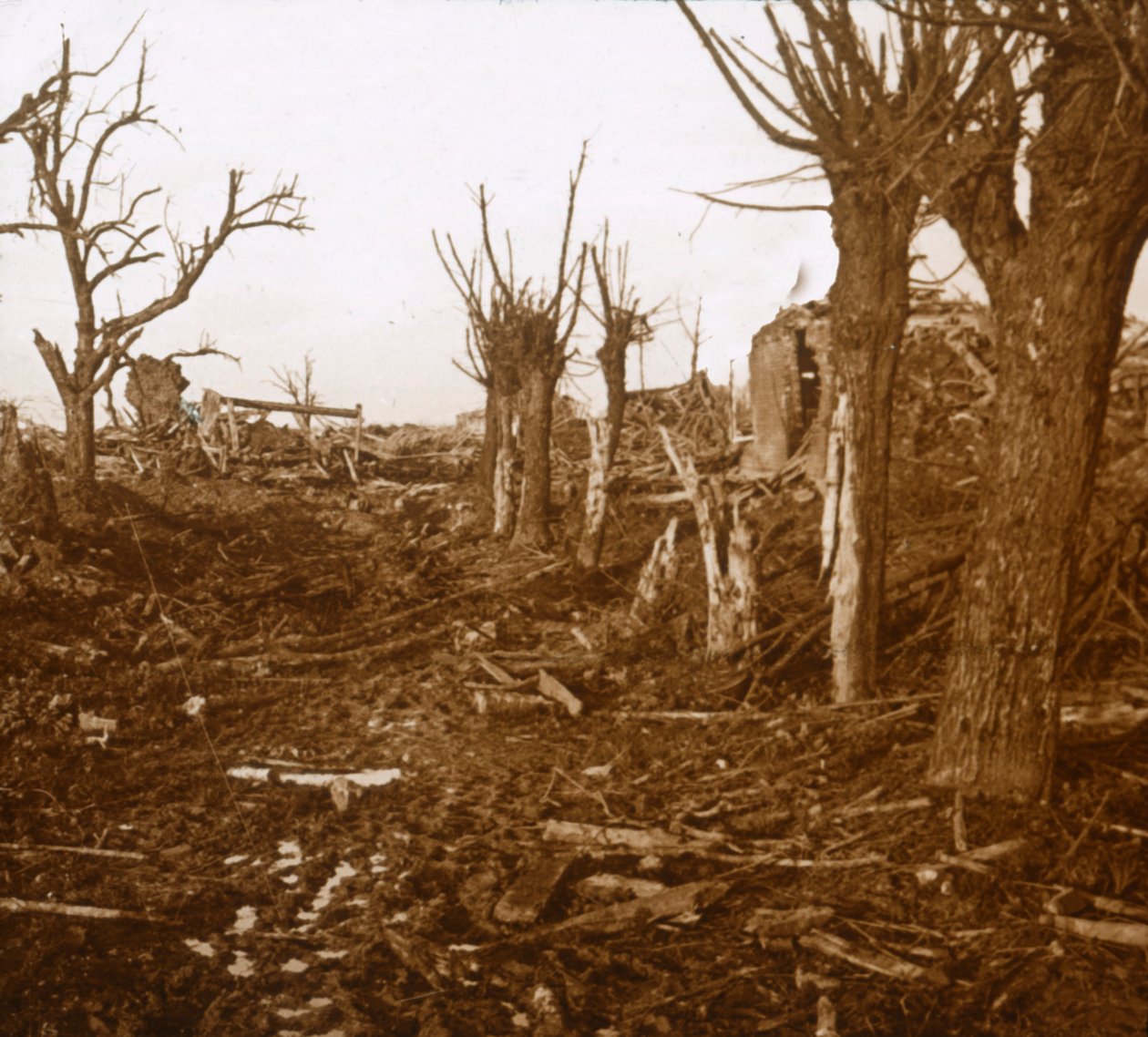 ब्लास्ट लैंडस्केप, बेल्लॉय-एन-सेंचरे, उत्तरी फ्रांस, c1914-c1918 द्वारा अज्ञात