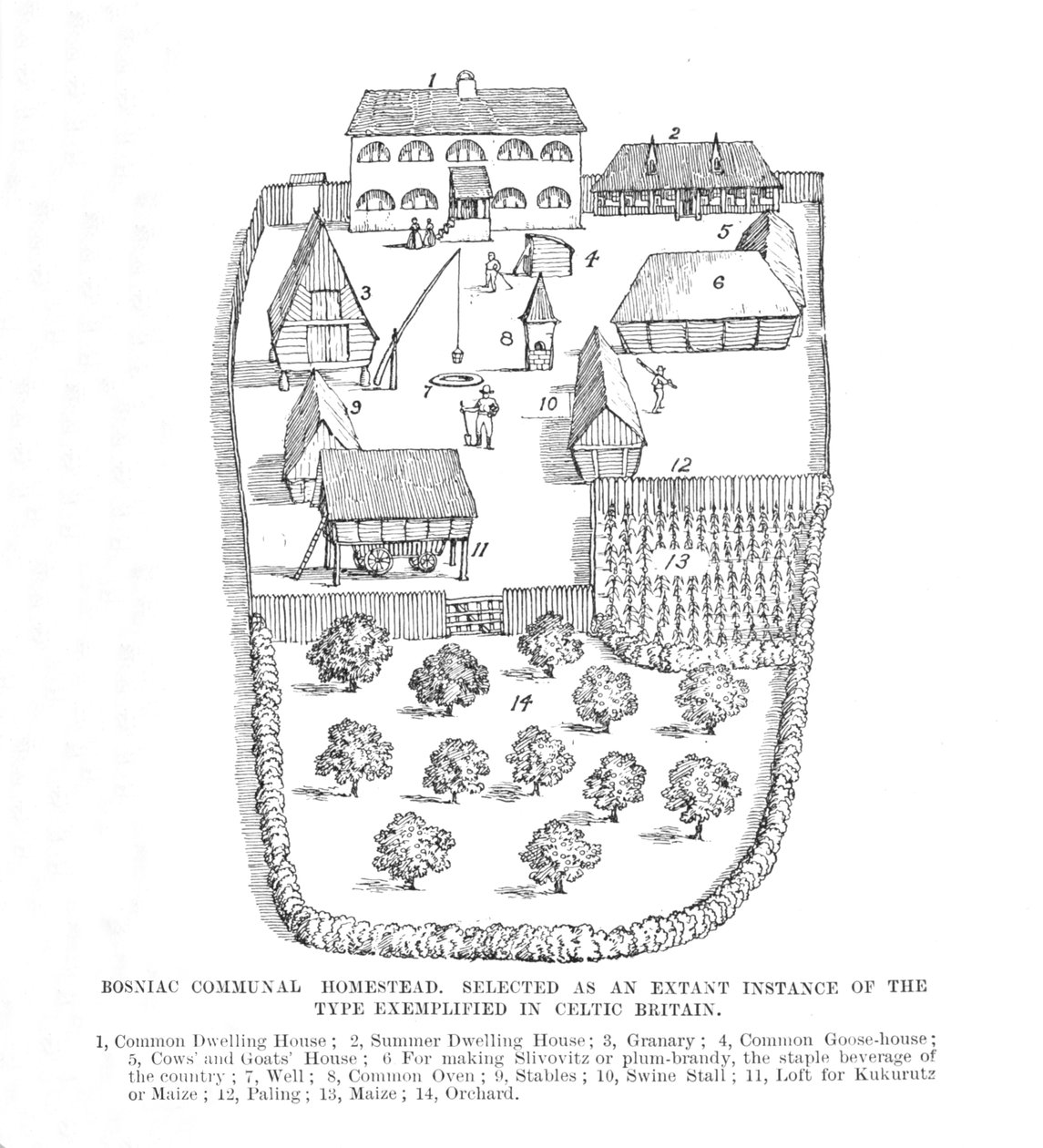 बोस्निया कम्युनल होमस्टेड, 1902। द्वारा अज्ञात