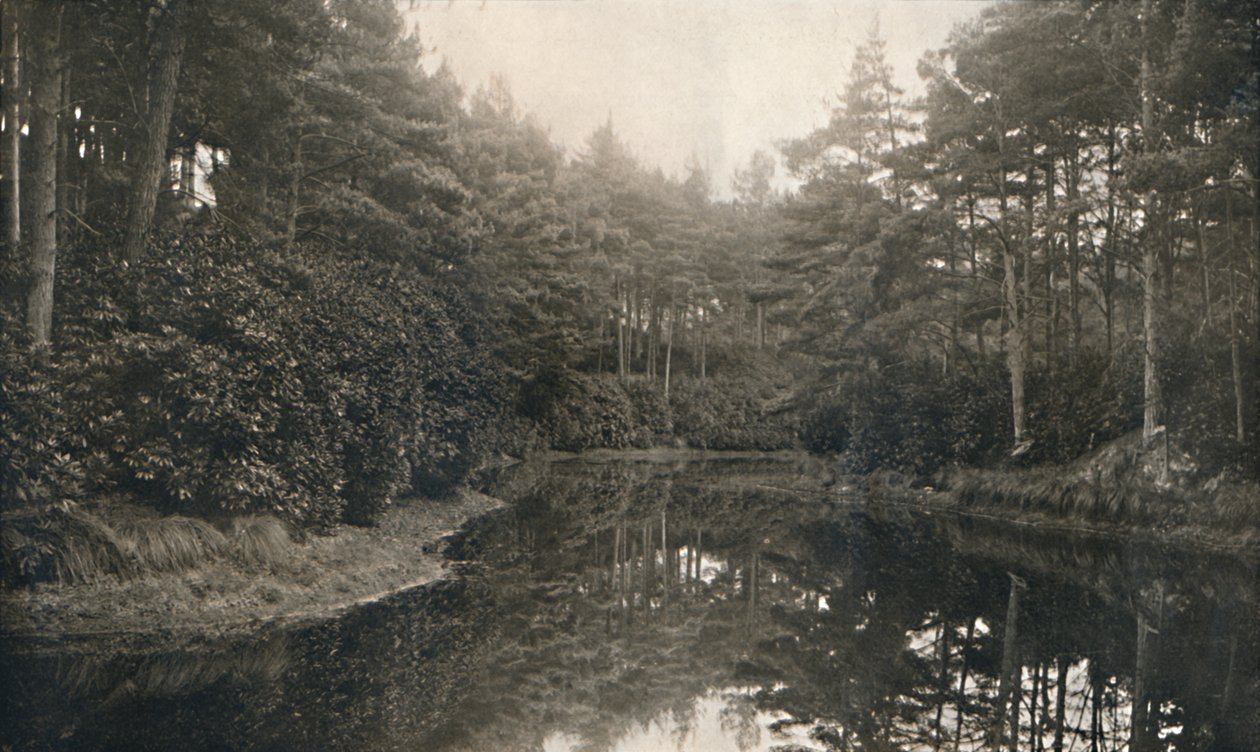 ब्रांक्सोमाइन चाइन और झील, c1910 द्वारा अज्ञात