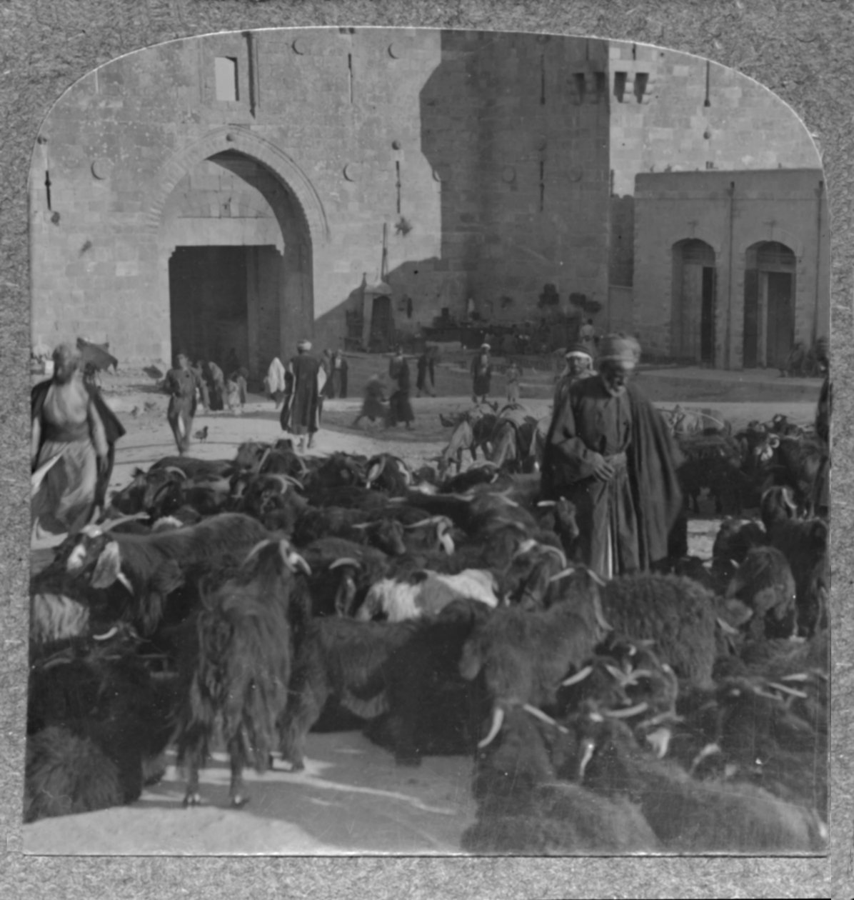 यरूशलेम, दमिश्क गेट, c1900 पर बकरियाँ खरीदना द्वारा अज्ञात