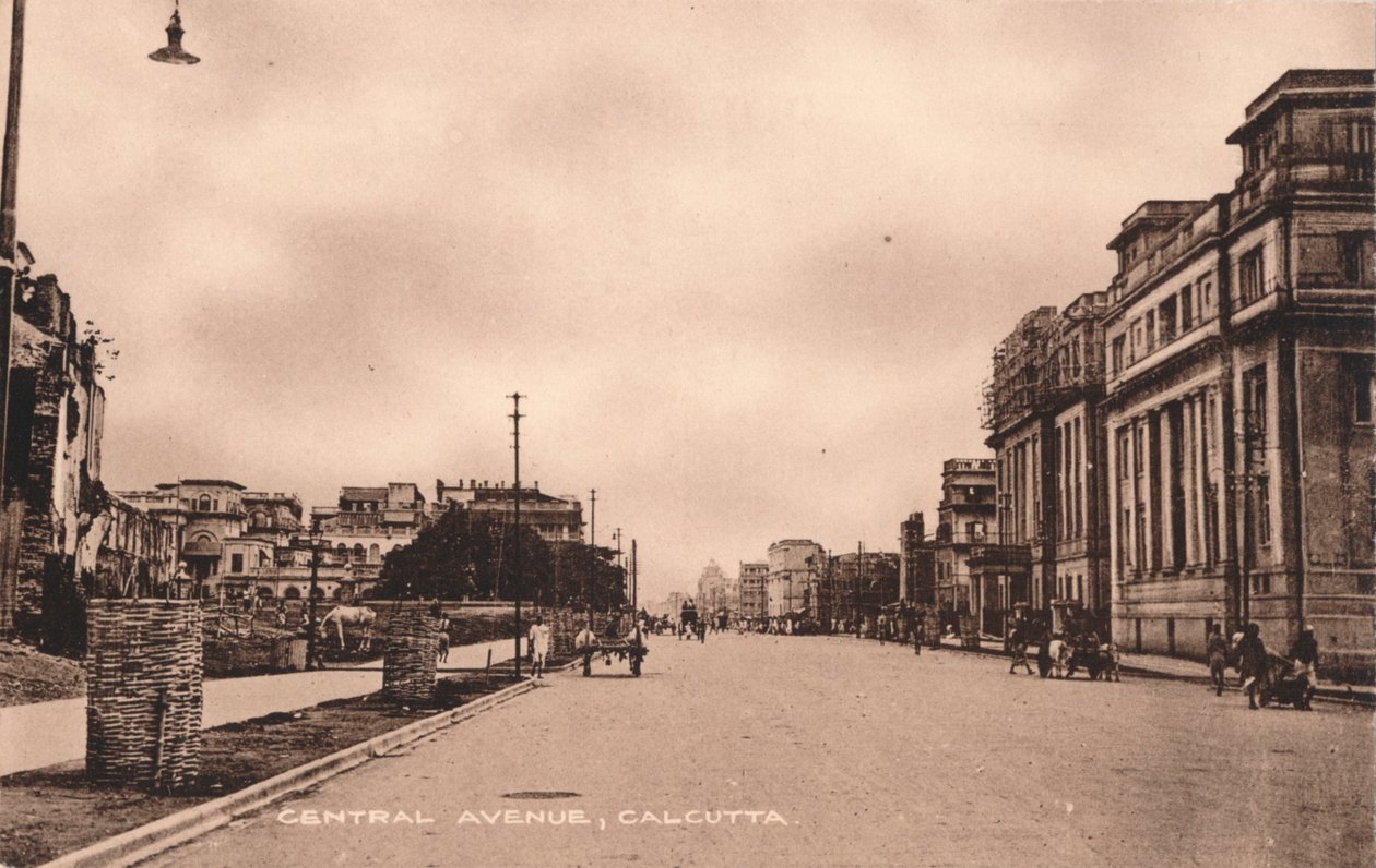 सेंट्रल एवेन्यू, कलकत्ता, c1900 द्वारा अज्ञात