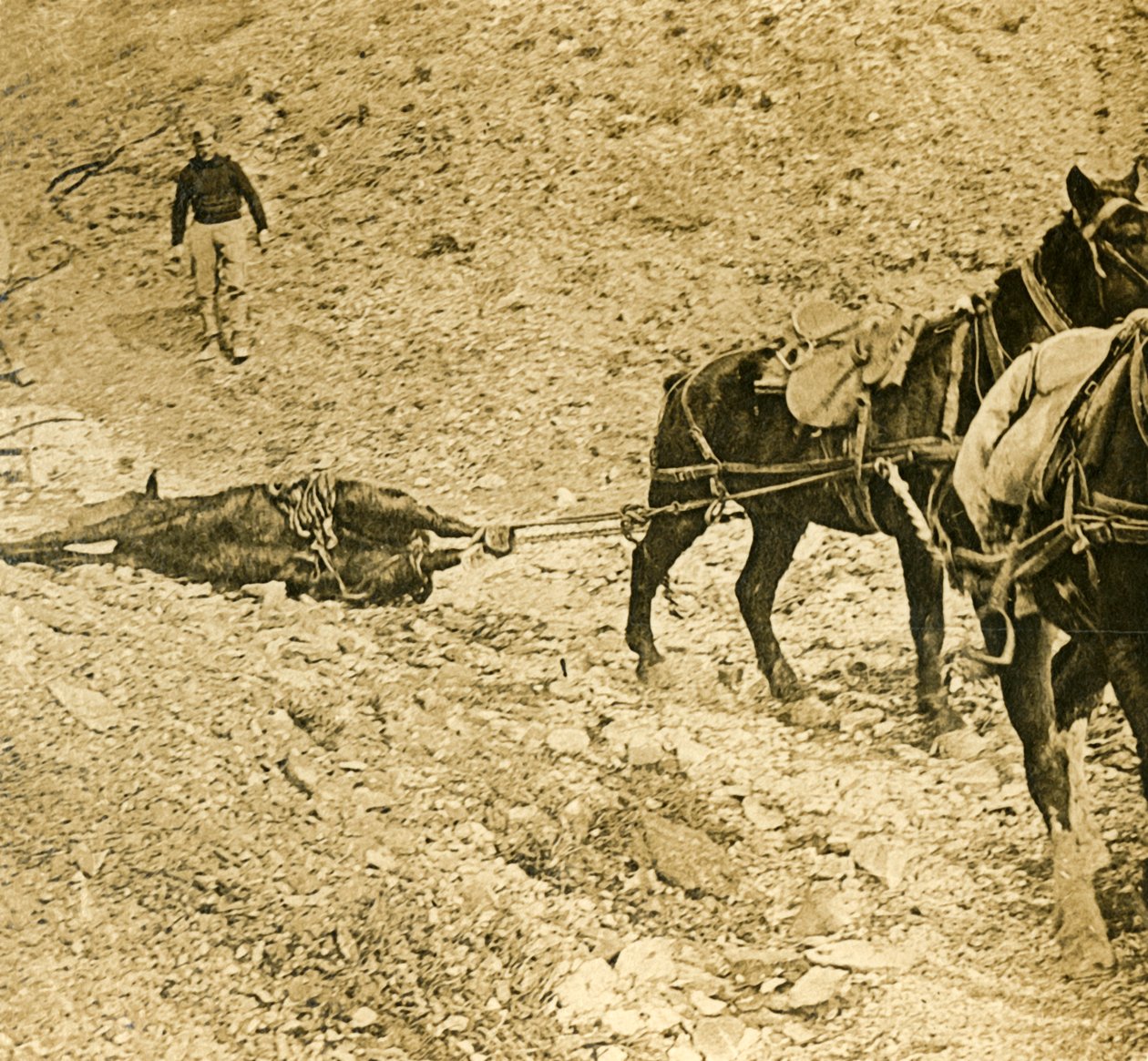 युद्ध के मैदान को साफ़ करना, c1914-c1918 द्वारा अज्ञात