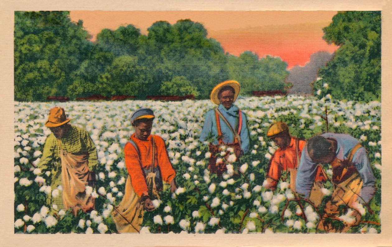 कॉटन पिकिंग, ऑगस्टा, जॉर्जिया, 1943 द्वारा अज्ञात