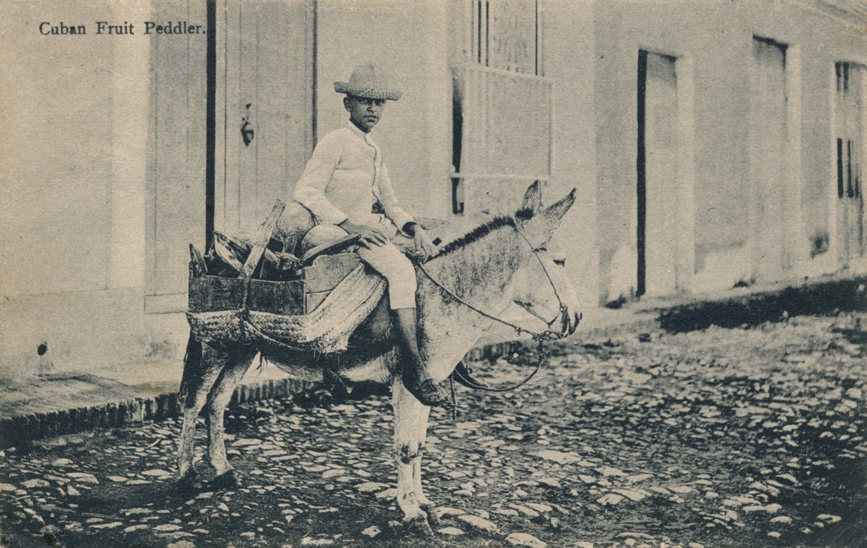 क्यूबाई फ्रूट पेडलर, c1908 द्वारा अज्ञात