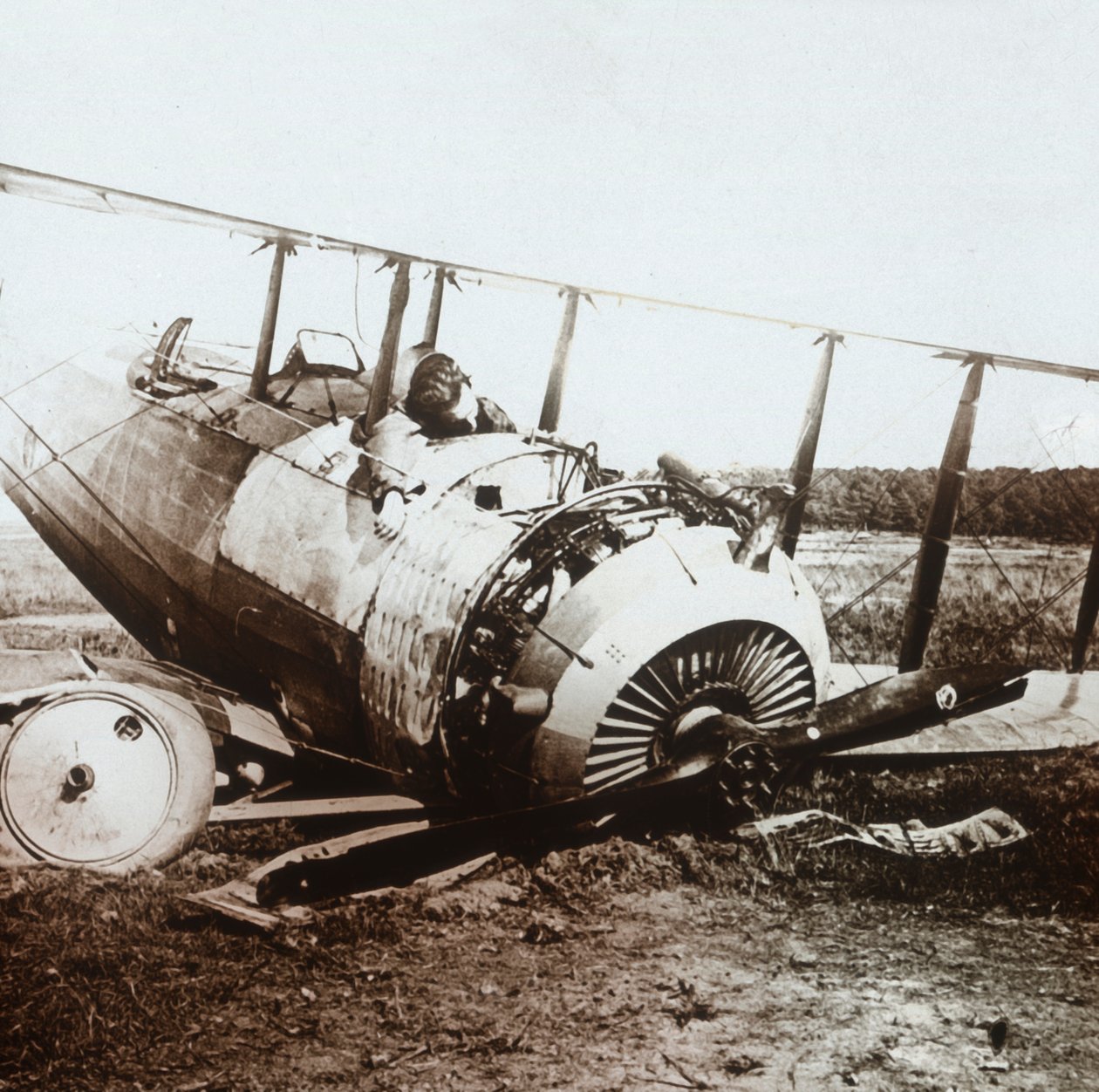 डाउन सैल्मसन विमान में मृत पायलट, c1914-c1918 द्वारा अज्ञात