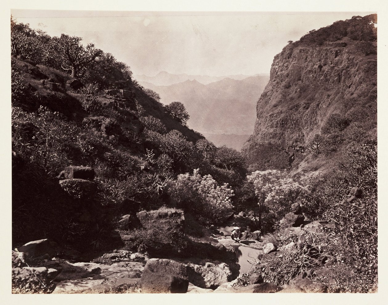 'धोबीज ग्लेन, महाबलेश्वर, बॉम्बे', सी 1865 द्वारा अज्ञात