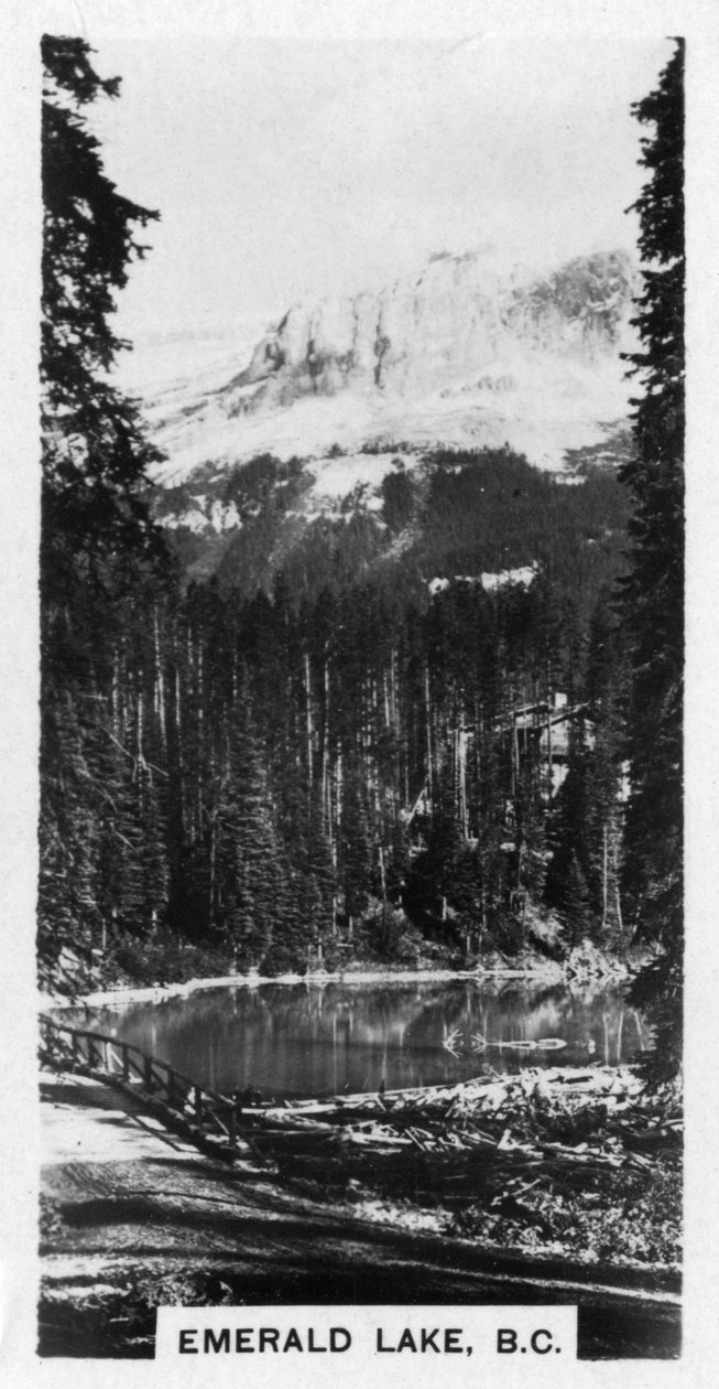 एमरल्ड लेक फील्ड के पास, ब्रिटिश कोलंबिया, कनाडा, c1920s द्वारा अज्ञात