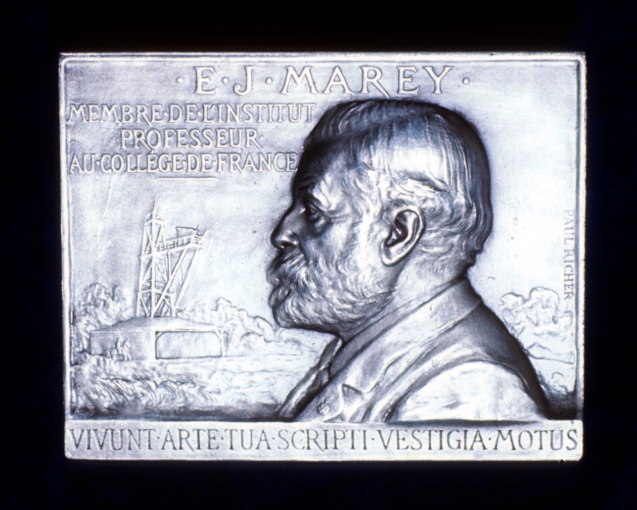 एटिने जूल्स मारे 1830-1903, फ्रेंच फिजियोलॉजिस्ट, 19 वीं शताब्दी द्वारा अज्ञात