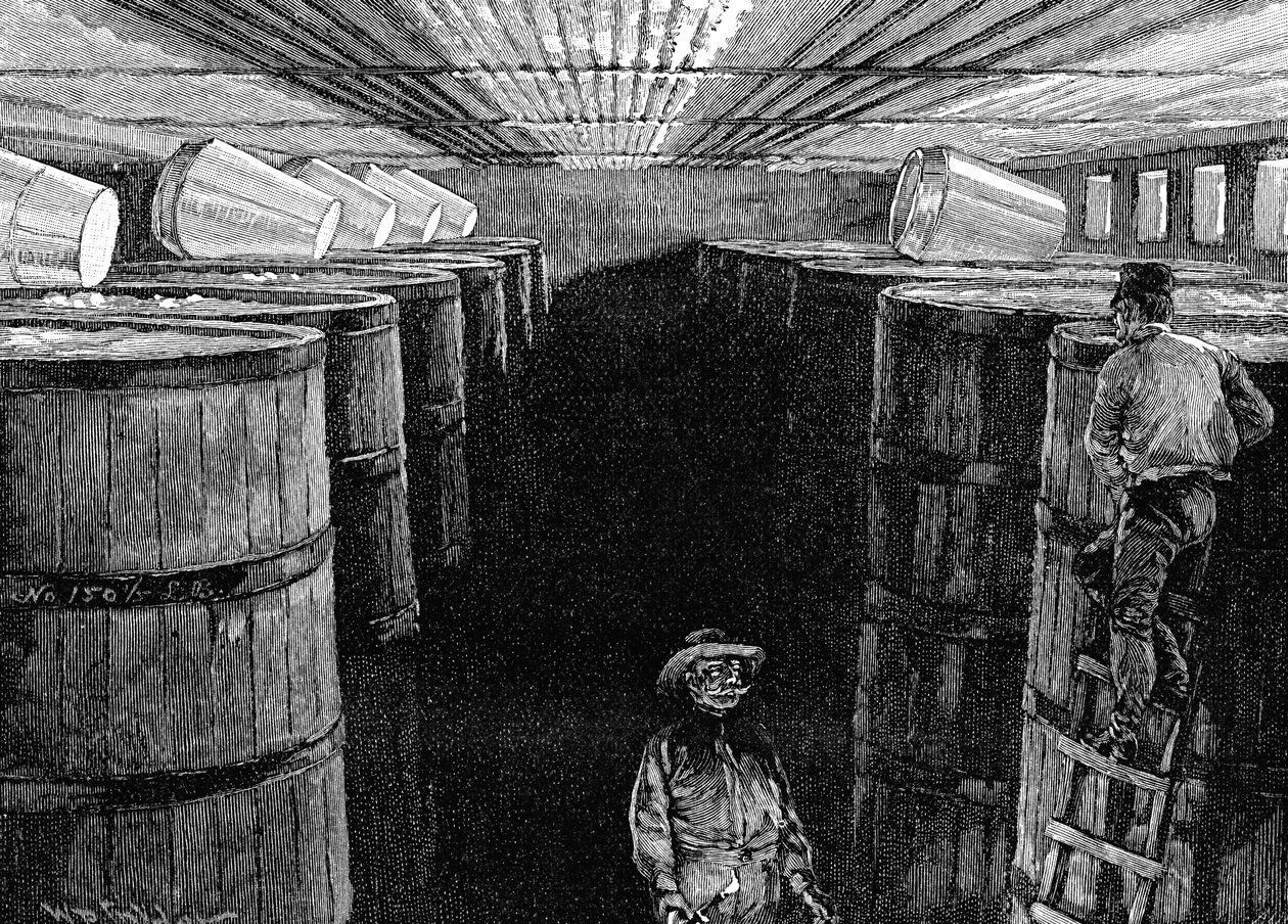 एक अमेरिकी शराब की भठ्ठी में किण्वन तहखाने, 1885 द्वारा अज्ञात
