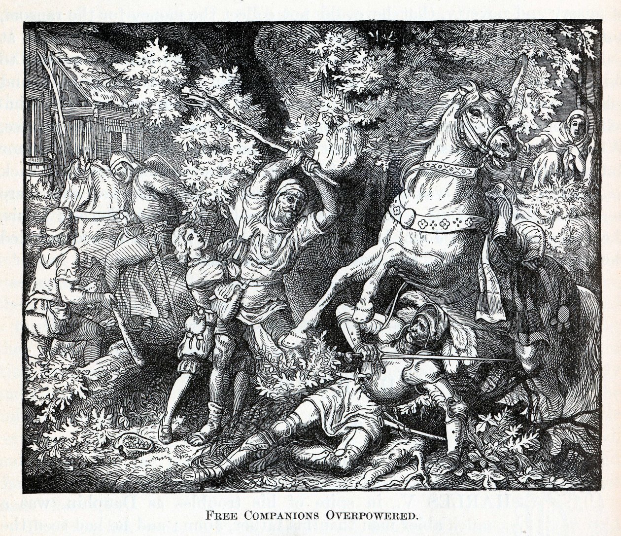 मुक्त साथियों की अधिकता, 1882 द्वारा अज्ञात