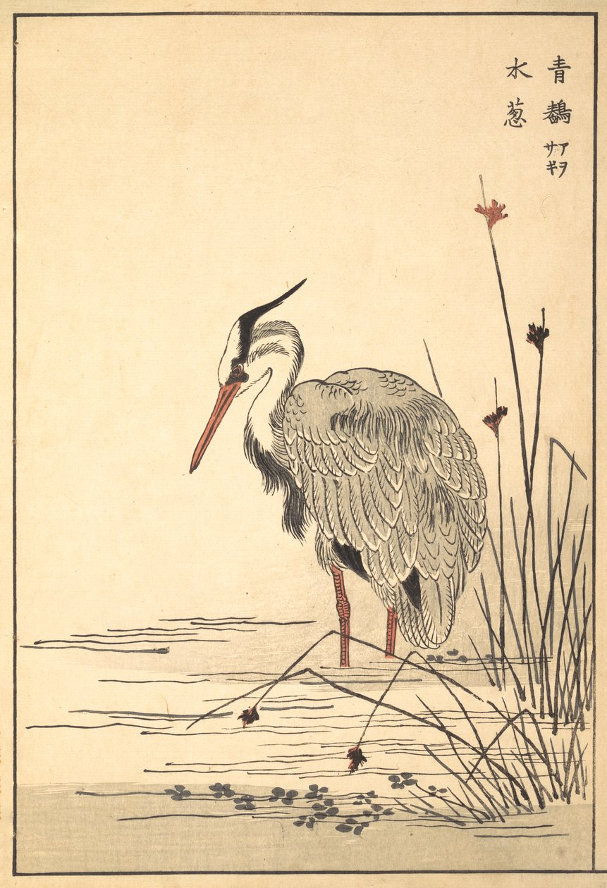ग्रे हेरॉन एओसागी और मिज़ू-एओई प्लांट, 1857। द्वारा अज्ञात