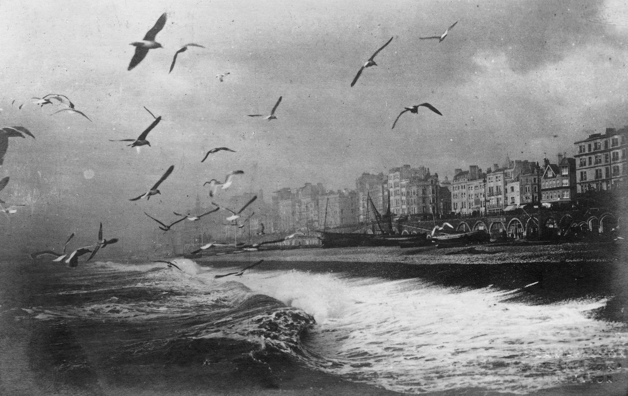 20 वीं शताब्दी की शुरुआत में ब्राइटन, ईस्ट ससेक्स में गल्स द्वारा अज्ञात