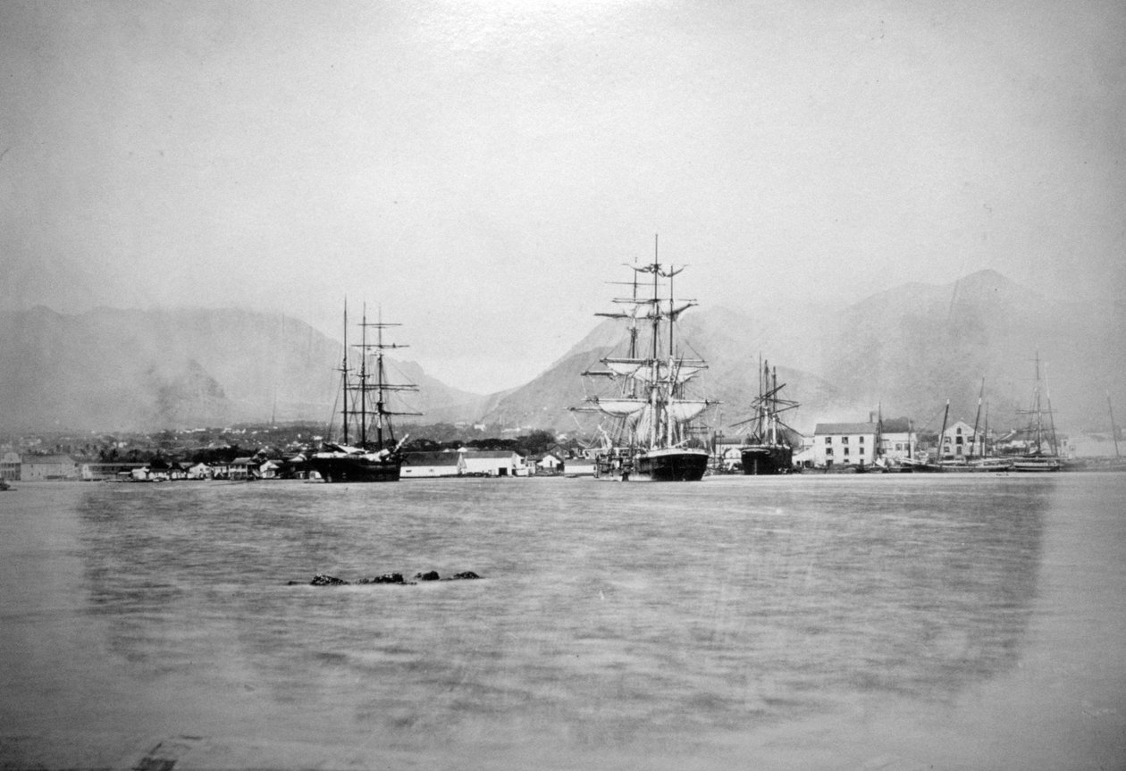 होनोलुलु, हवाई, 1885-1890 द्वारा अज्ञात