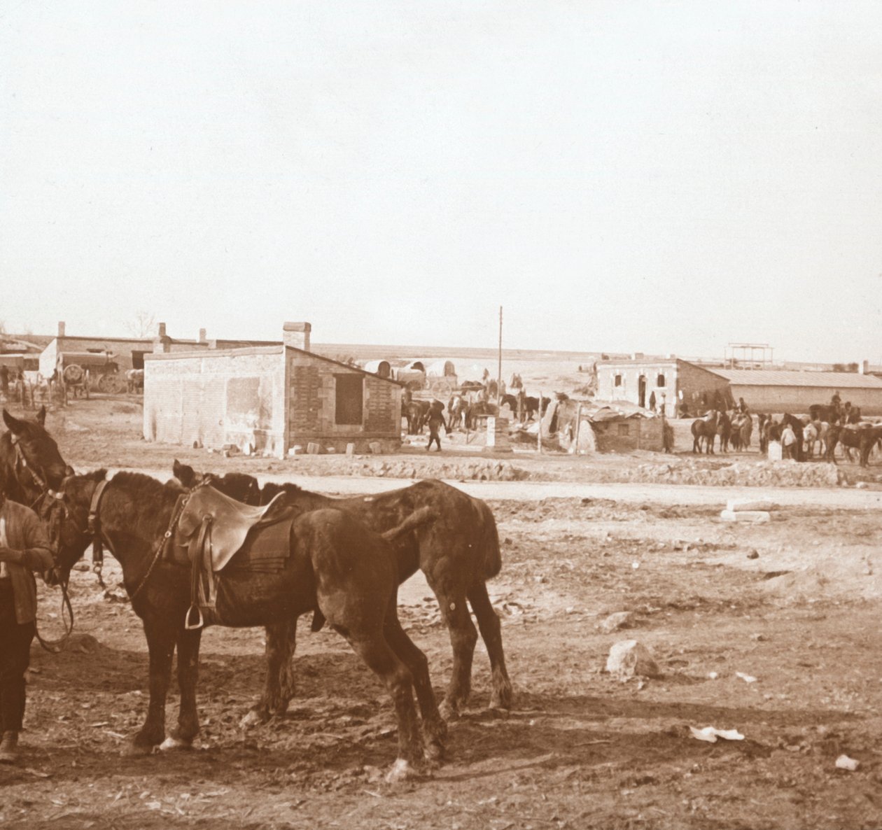 घोड़े, सोम्मे-पीट, उत्तरी फ्रांस, c1914-c1918 द्वारा अज्ञात