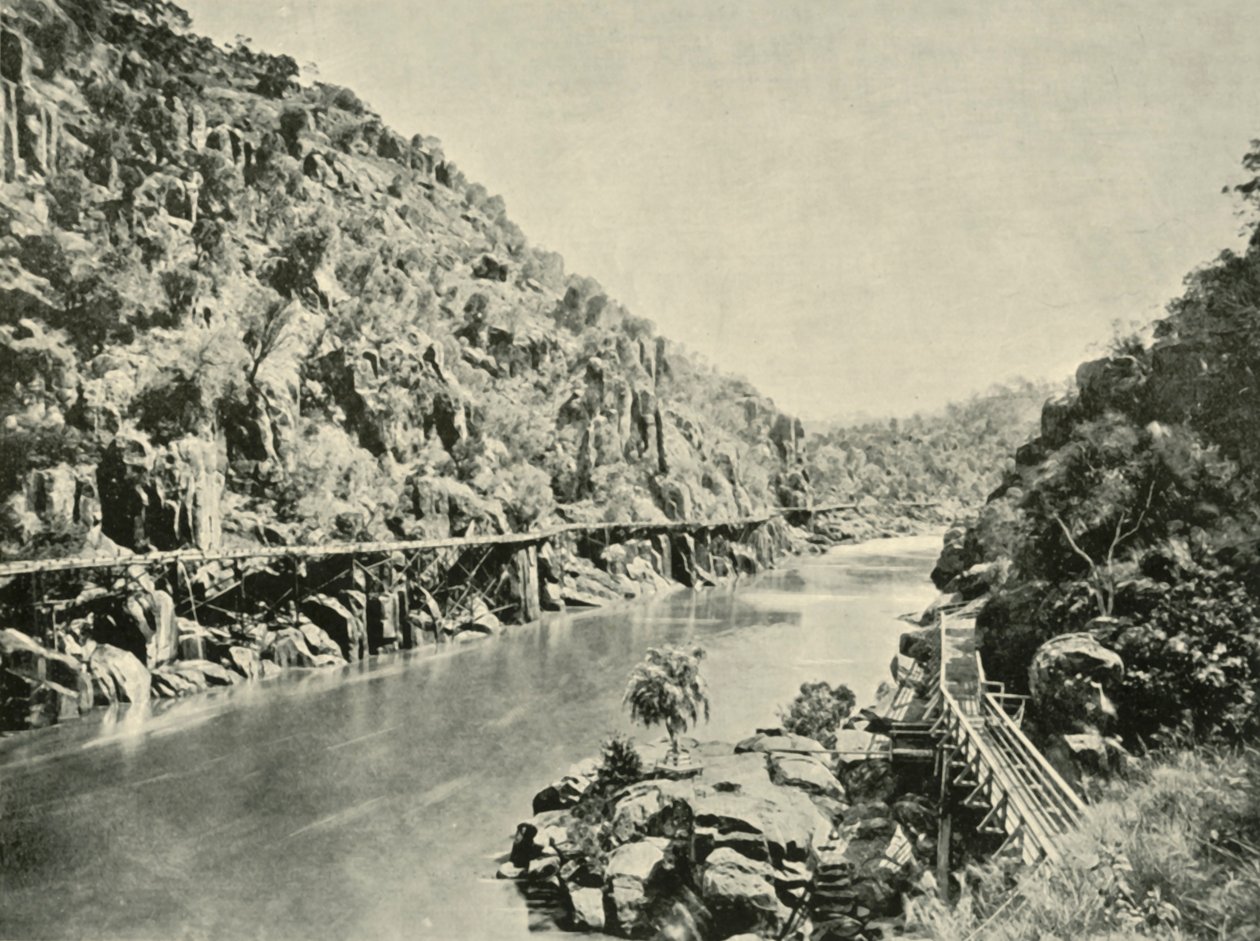 मोतियाबिंद कण्ठ में, 1901। द्वारा अज्ञात