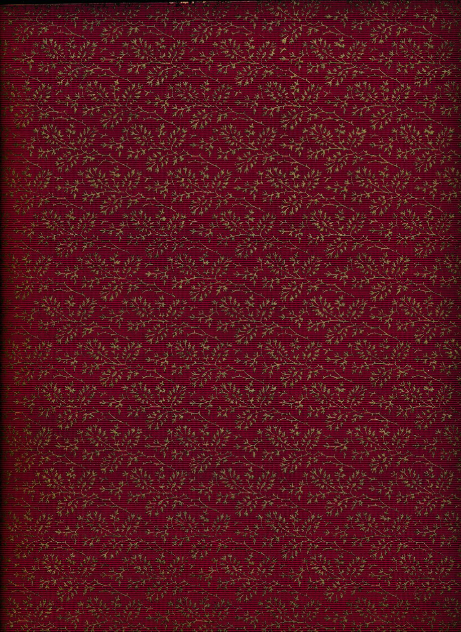 इनसाइड कवर पैटर्न, 1901, 1901 द्वारा अज्ञात