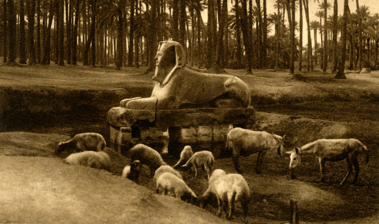 मेम्फिस - द अलबास्टर स्फिंक्स, c1918-c1939। द्वारा अज्ञात