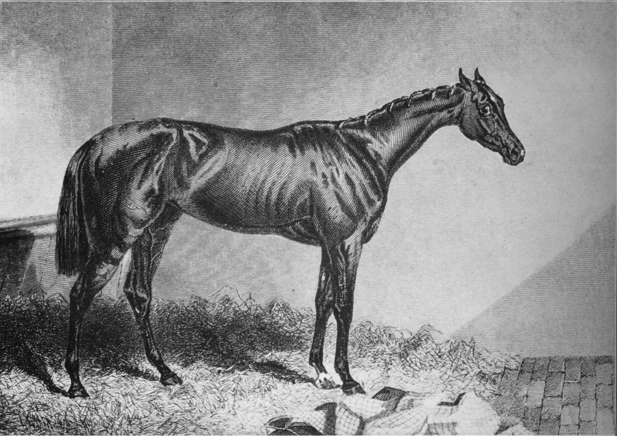 मेंडिसेंट, 19 वीं सदी, 1911 द्वारा अज्ञात