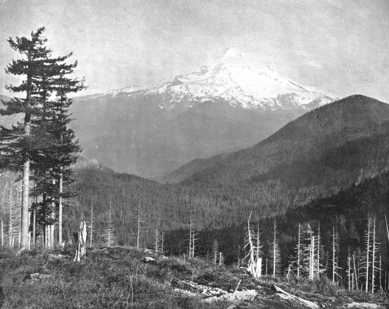 माउंट हूड, ओरेगन, संयुक्त राज्य अमेरिका, c1900। द्वारा अज्ञात