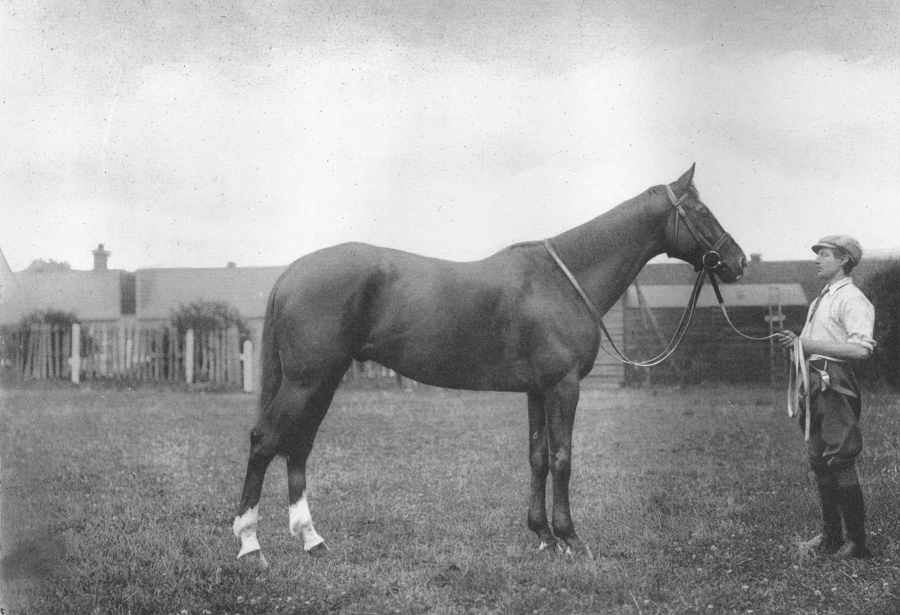 माउंट प्रॉस्पेक्ट्स फॉर्च्यून, 1911 द्वारा अज्ञात