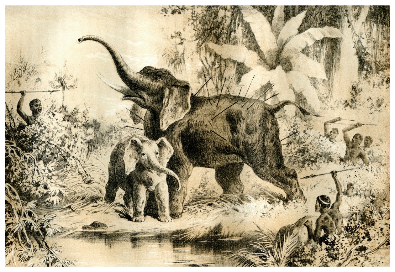 नेटिव स्पीयरिंग ए एलिफेंट, 1883 द्वारा अज्ञात