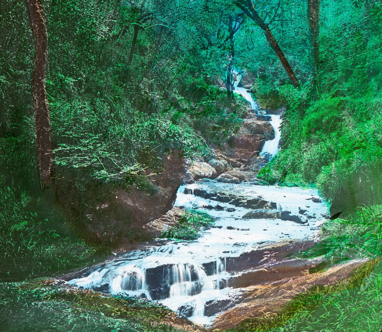 OSullivans Cascade, Killarney, c1910 द्वारा अज्ञात