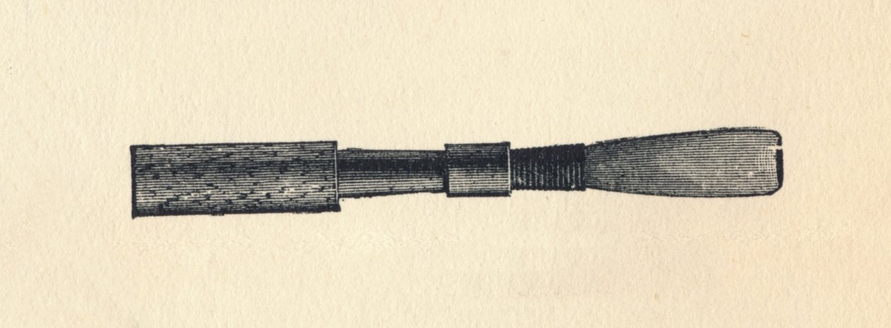 ओबे रीड, 1895। द्वारा अज्ञात