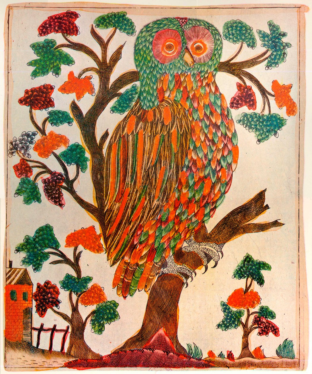 उल्लू, छापाखाना, 1800 द्वारा अज्ञात