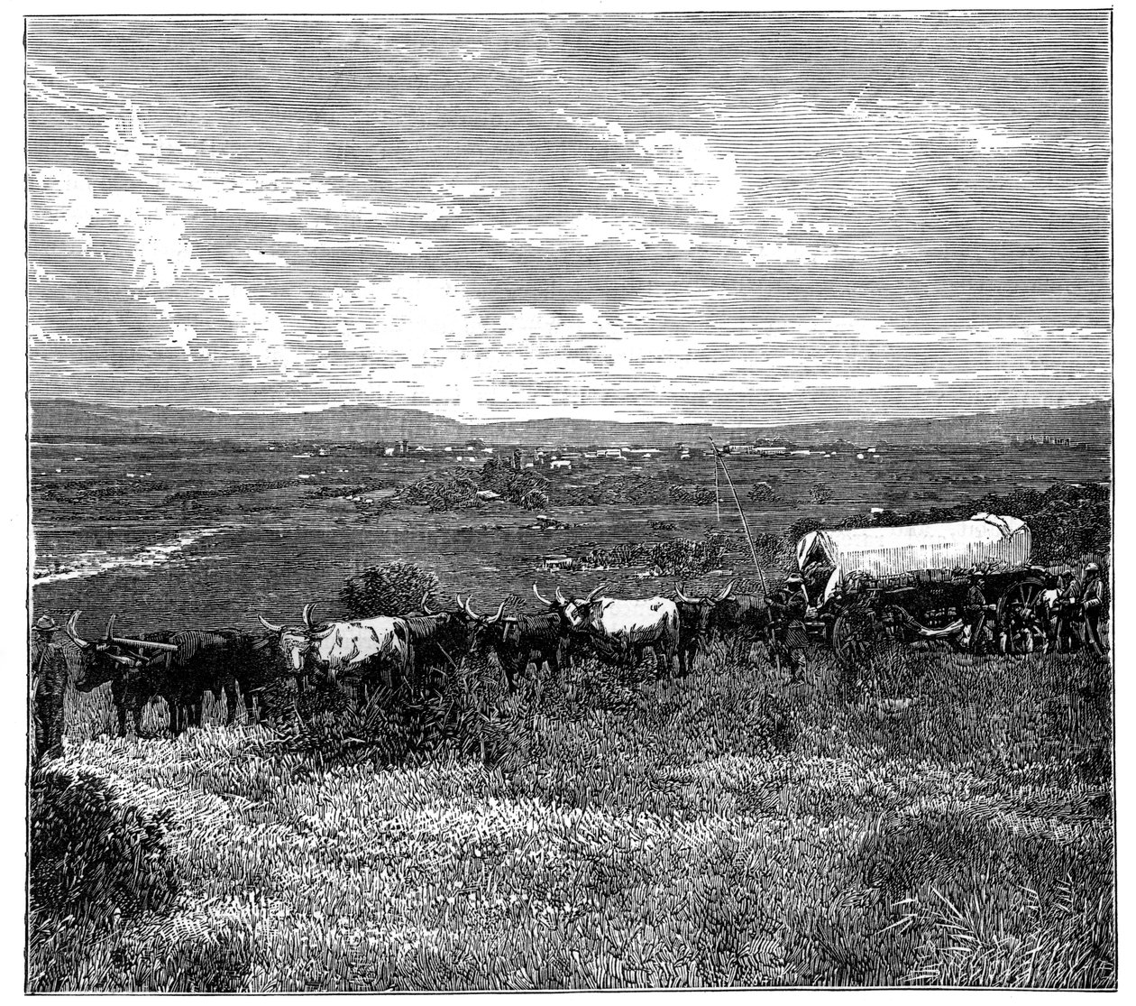 प्रिटोरिया, दक्षिण अफ्रीका, c1890 द्वारा अज्ञात