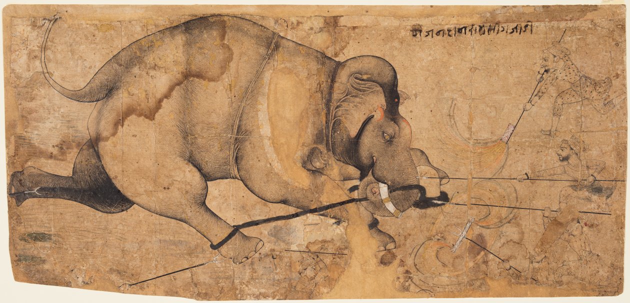 राव राम सिंह हाथी हाथी आमोक, सी। 1700। द्वारा अज्ञात