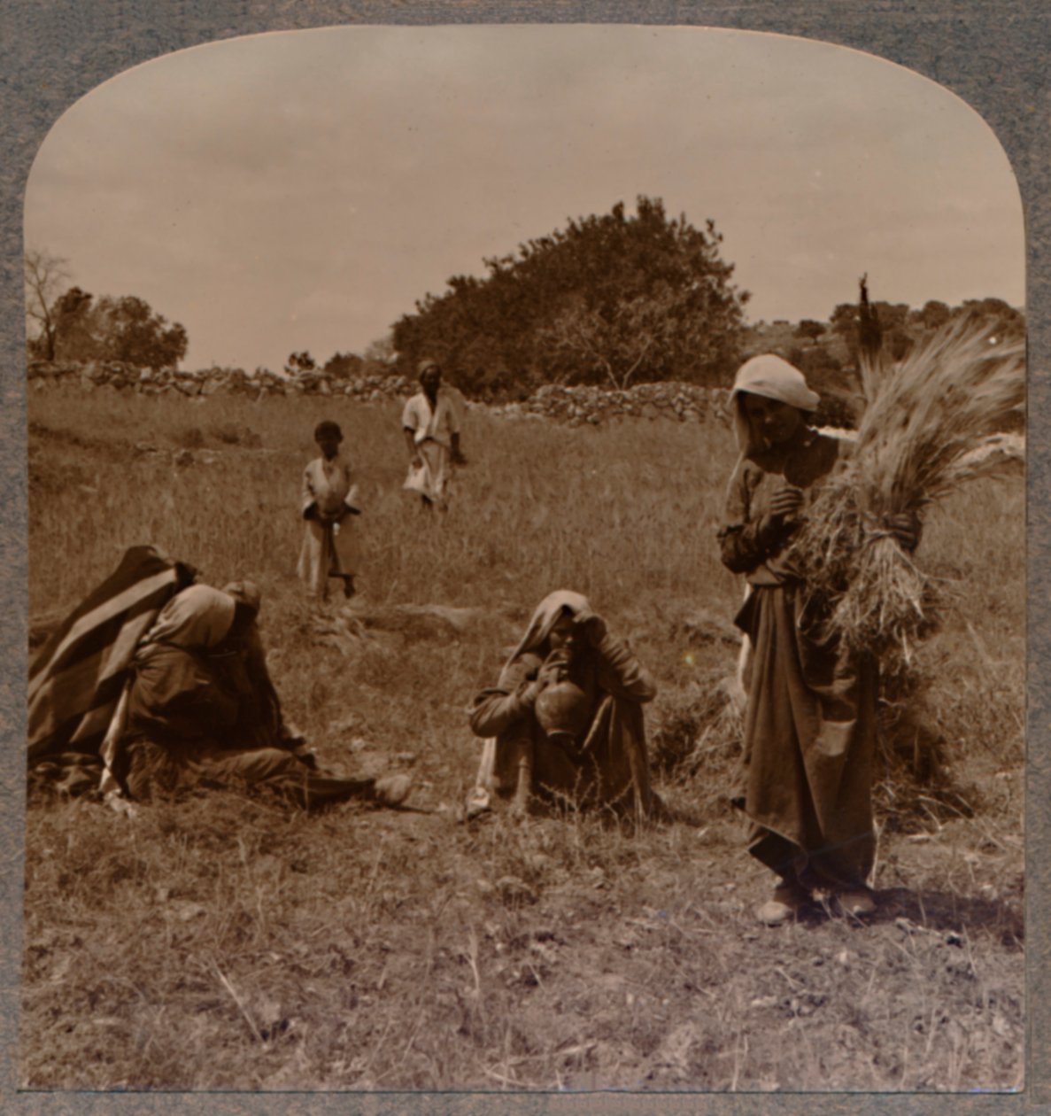 बोआज के खेतों में रूथ चमक रहा है, c1900 द्वारा अज्ञात