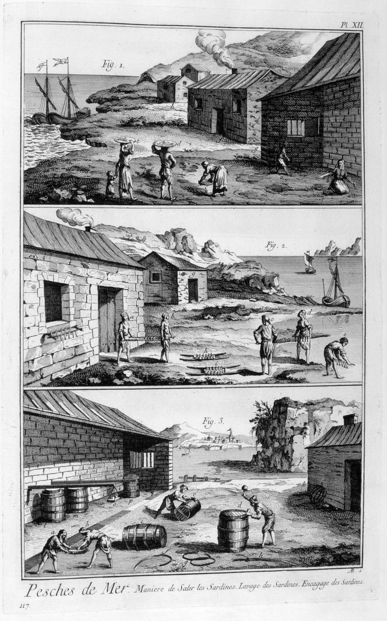 साल्टिंग, धुलाई, पैकिंग सार्डिन, 1751-1777 द्वारा अज्ञात