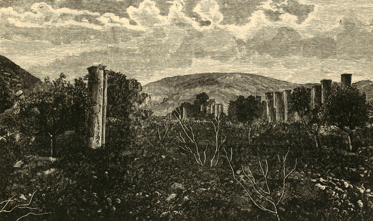 सामरिया, 1890। द्वारा अज्ञात