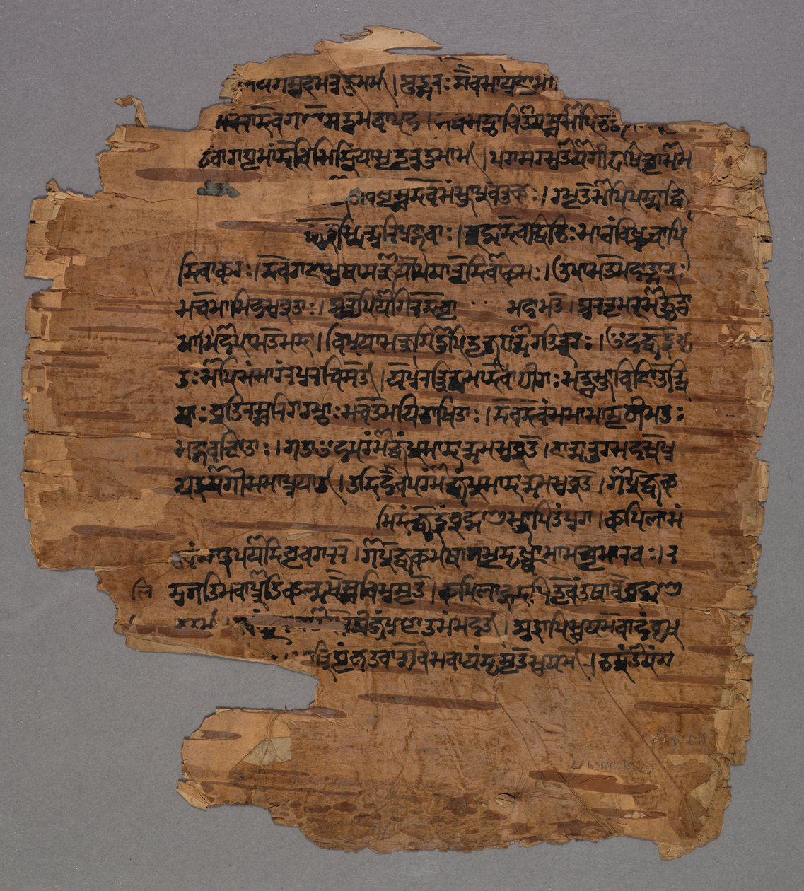 सारदा स्क्रिप्ट, 1600s। द्वारा अज्ञात