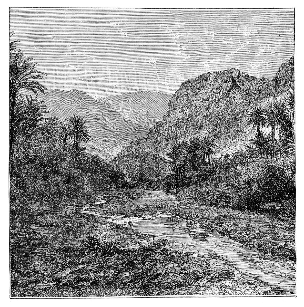 सिनाई, मिस्र, 1895 द्वारा अज्ञात
