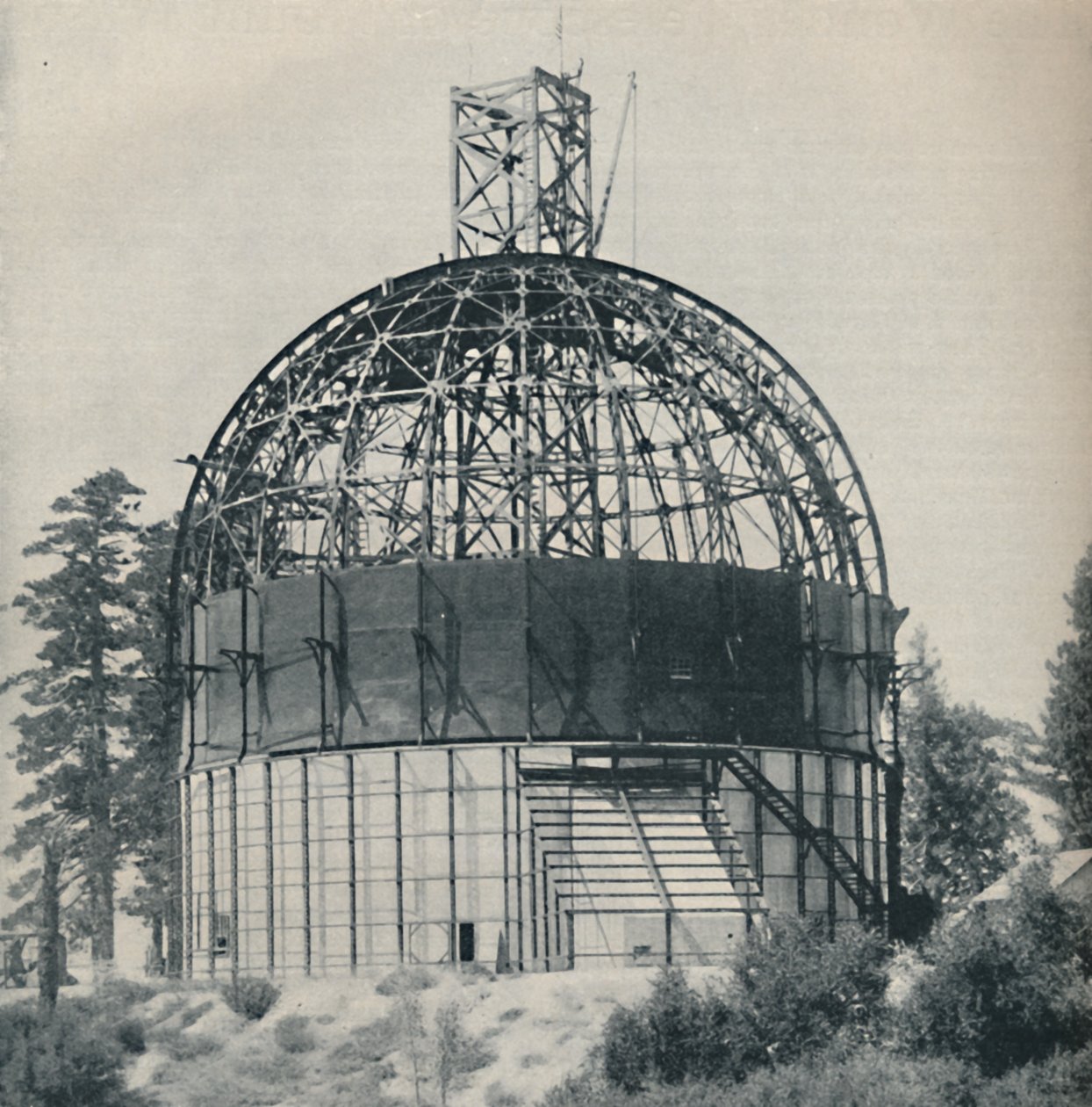कंकाल डोम टू हाउस टू ए एस्ट्रोनॉमिकल मैमथ, c1935 द्वारा अज्ञात