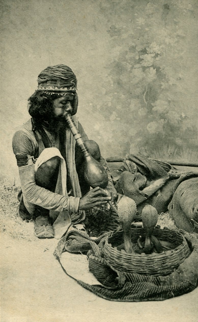 सपेरा। द्वारा अज्ञात